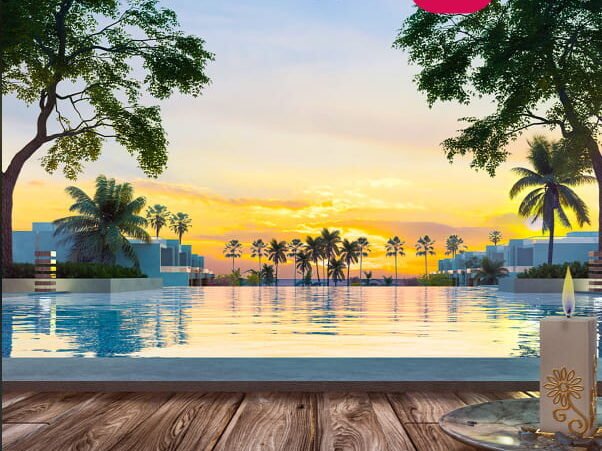 ابيزا تشيل اوت العين السخنة