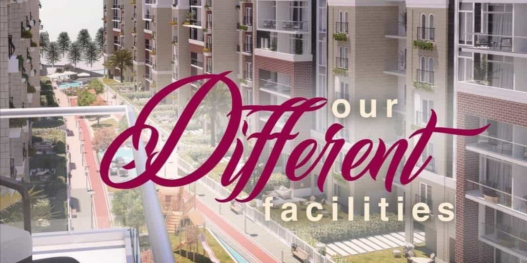 سوانيو العاصمة الإدارية الجديدة