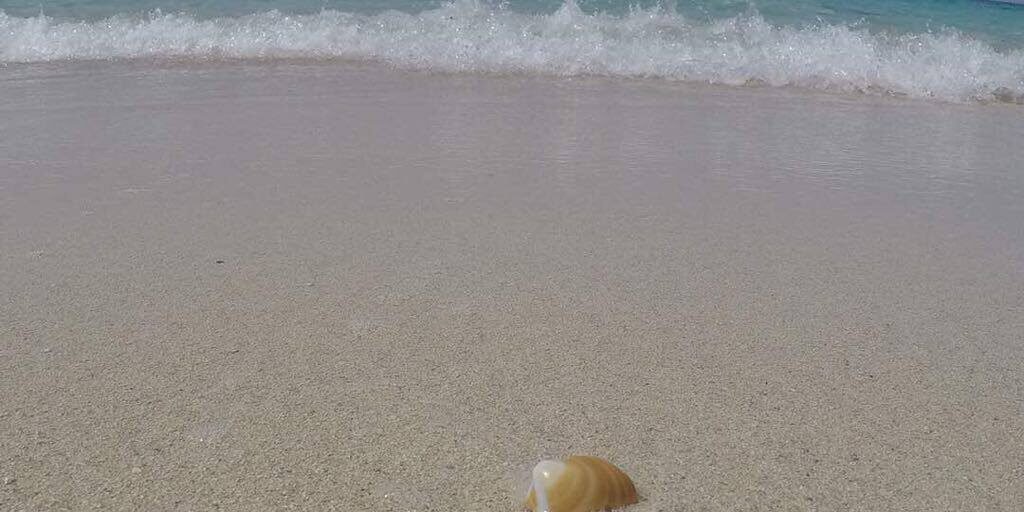 قرية المصيف الساحل الشمالي