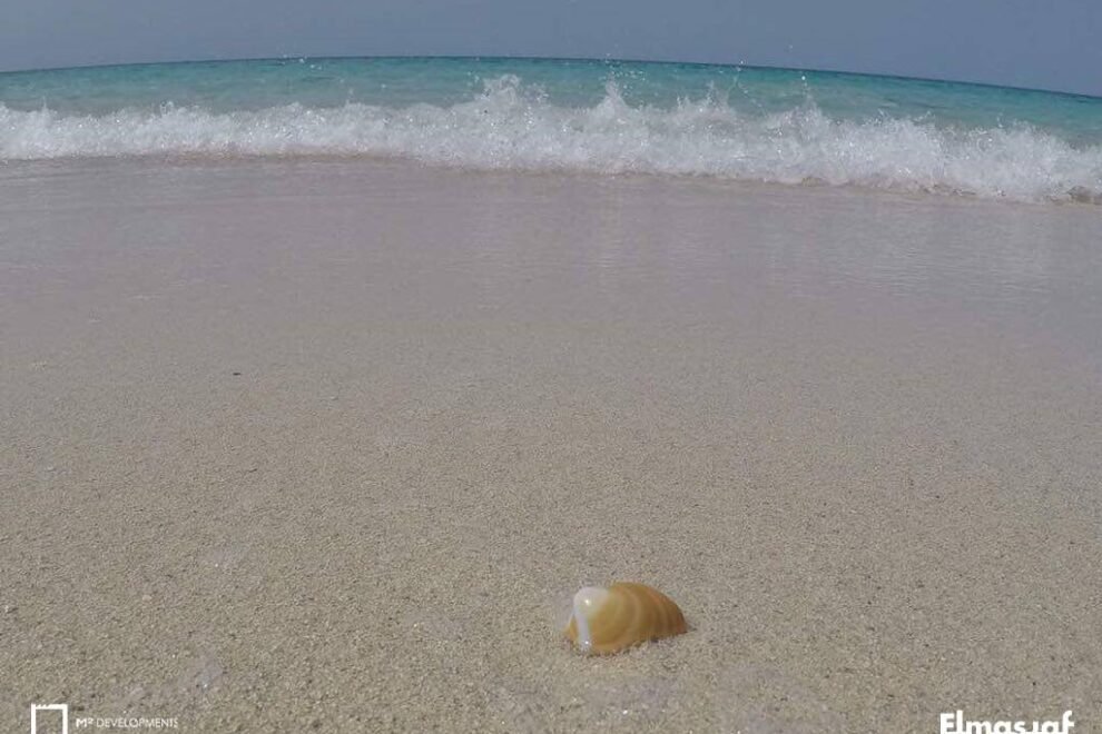 قرية المصيف الساحل الشمالي