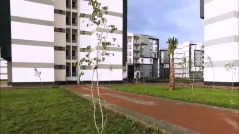 مساحة خضراء