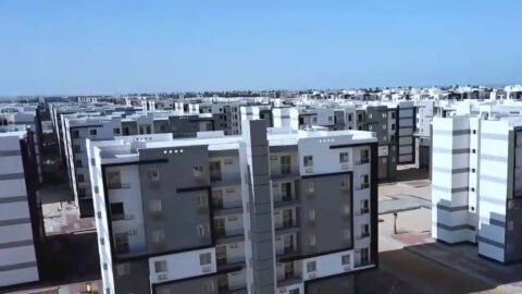 المنصورة الجديدة 2020