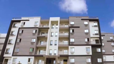 المنصورة الجديدة